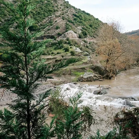 Bagdat פארק נופש Semetler