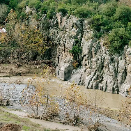 Bagdat פארק נופש